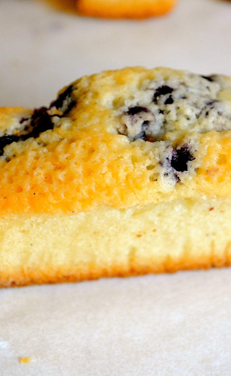 6 Wild Blueberry Petit Cakes Financier-Snacking-ZAM ARTISAN CHOCOLATES