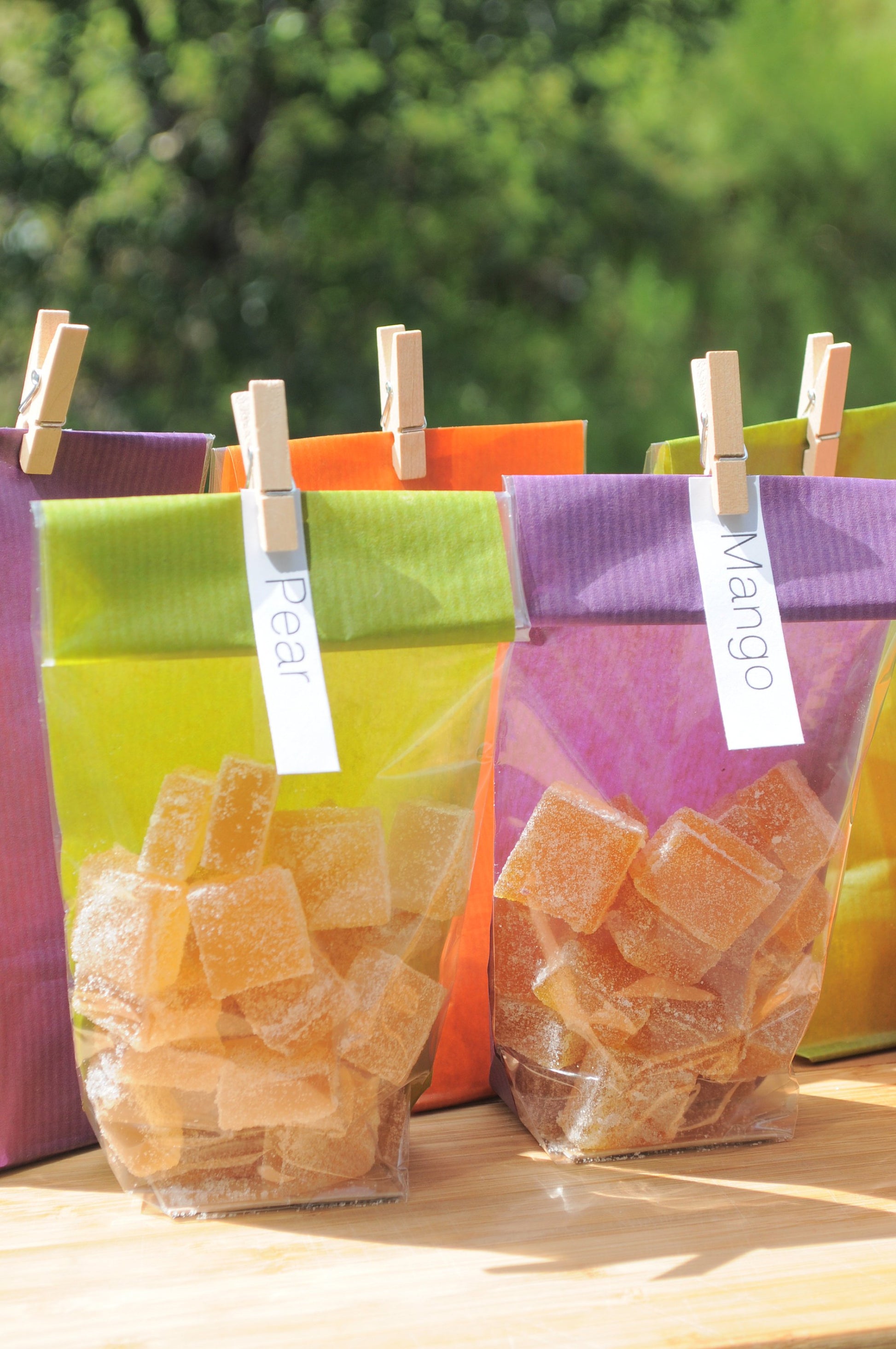 Pate de Fruit, Choose your flavor, French Jelly candy, Artisan candy made with real fruit, Gluten free, Vegan, Gift-ZAM ARTISAN CHOCOLATES